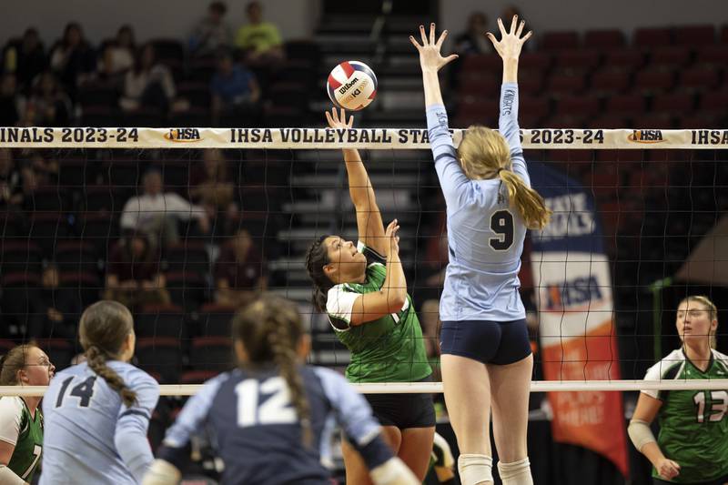 Rock Falls’ Taylor Reyna plays the ball against Breese Mater Dei’s Elyse Strader in the 2A state semifinal Friday, Nov. 10, 2023 at CEFCU Arena in Normal.