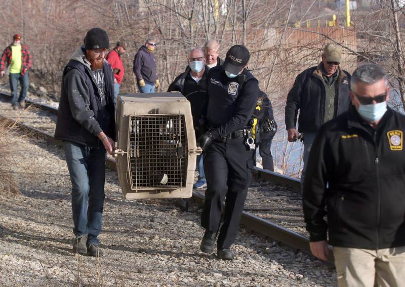 Nathan Drewel and Peru Police officer Nick Biagioni transport Wally to Bridgeview Animal Hospital in Peru.