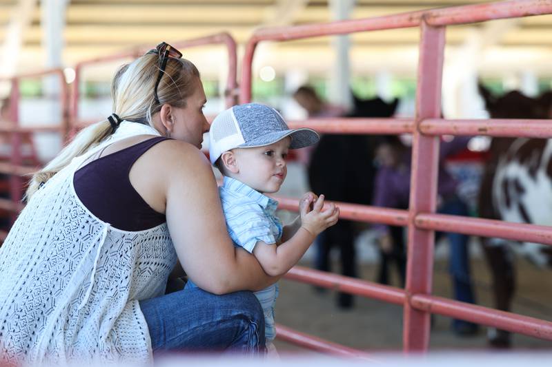Brooke Katcher and her son, Baylor, watch the beef judging at the Grundy County 4-H Fair on Sunday, July 30 in Morris.