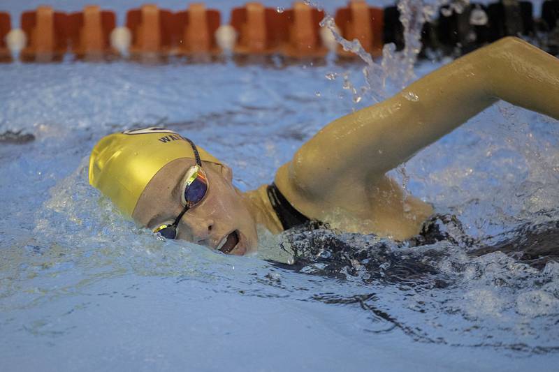 Photos Swimming sectionals in Byron Shaw Local