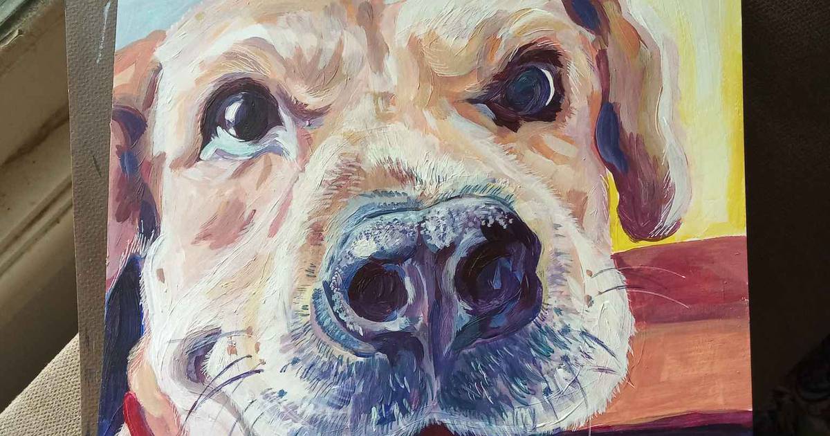 KVAL sets schedule for February events, including watercolors, how to