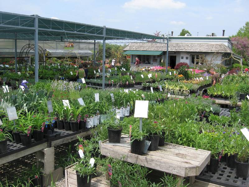 Wasco Nursery named revolutionary garden center Shaw Local