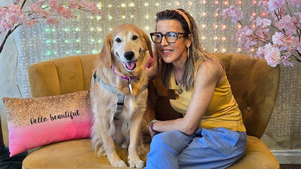 Pet rescues flag urgent need for more foster homes amid decline