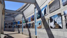 Brookfield Zoo unveils photo gallery showcasing Punta San Juan