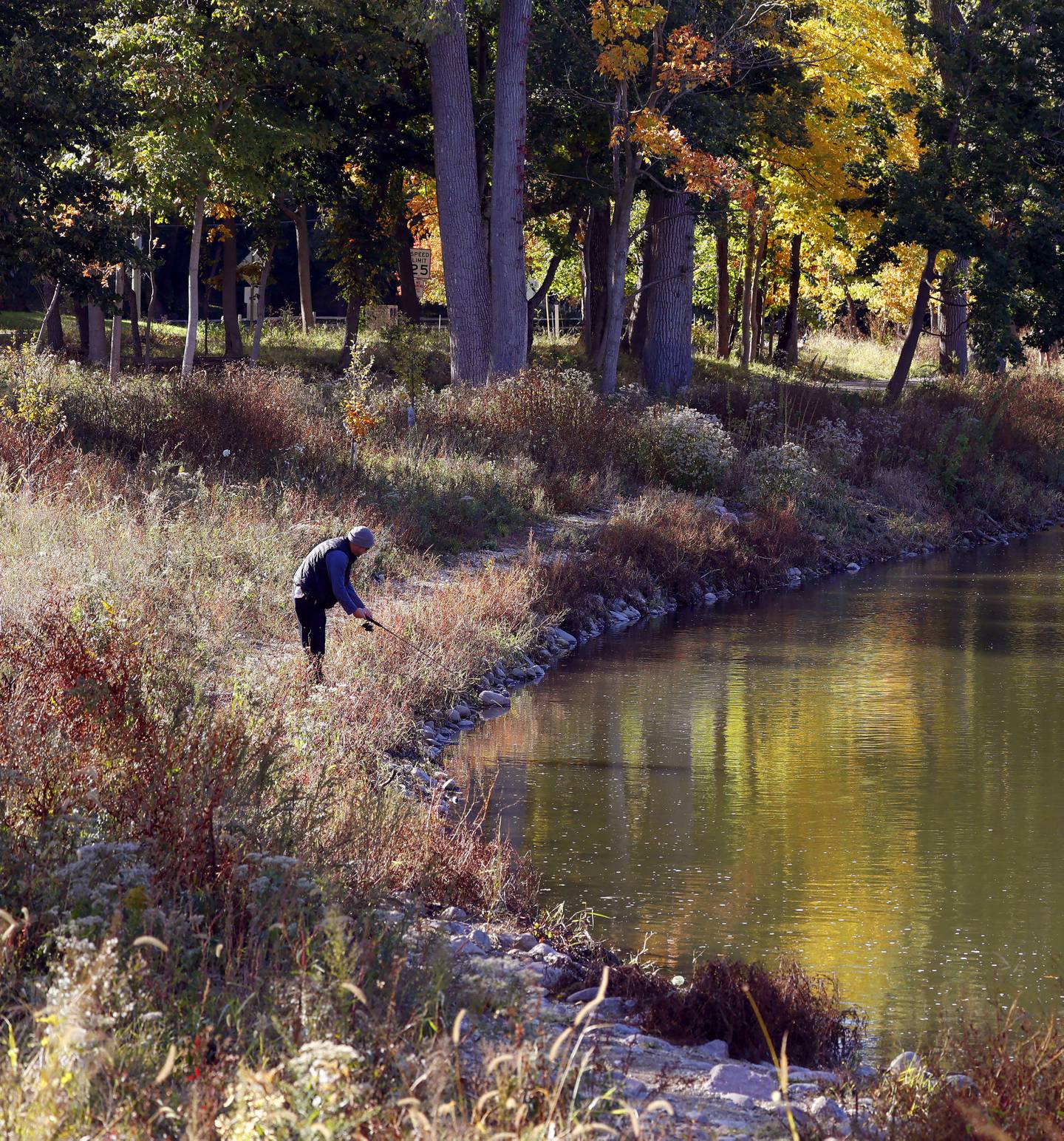 A man fishes near where the Graue Mill dam was removed from Salt Creek, it's showing signs of new life with improved habitat and the return of native fish species, officials say. Restoration efforts continued this year with the planting of some 50,000 native wetland plugs.