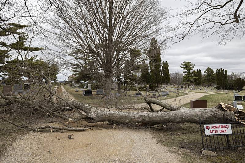 Downed trees and limbs are seen littering Prairie Repose Cemetery in Amboy Saturday, April 1, 2023 the day after a line of powerful storms roared through the Sauk Valley.