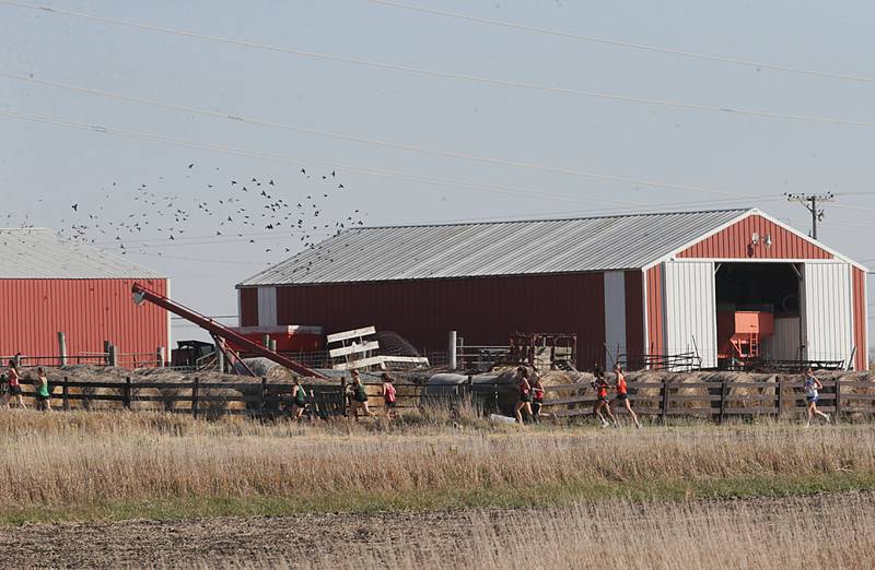 Cross Country girls compete in the Class 1A Regional Cross Country race on Saturday, Oct. 22, 2022 at the Seneca FFA Farm in Marseilles.