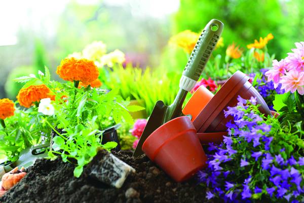 Grow Spring Valley hosts garden-to-table cooking class Sept. 4