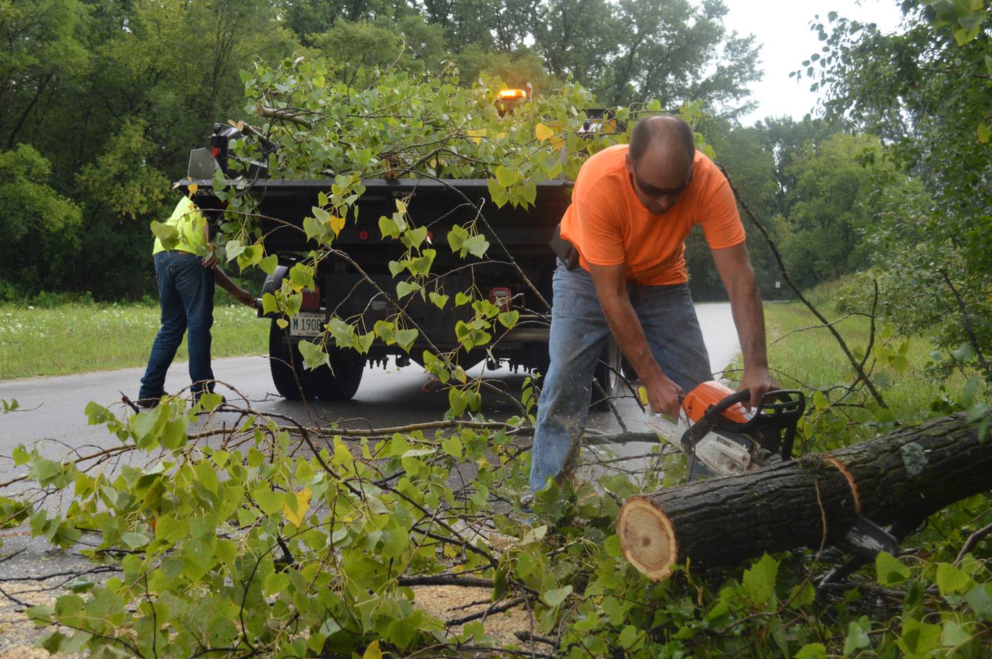 Dave Walsh of the village of Johnsburg's public works department saws through a tree Wednesday, Aug. 11, 2021 to remove it from across Reed Avenue. This week's storms brought high winds and several tornadoes to northern Illinois, including one that touched down Monday evening in McHenry.