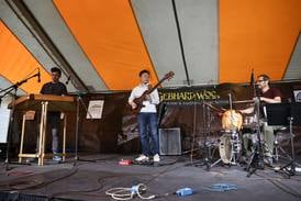 Gebhard Woods Dulcimer Festival returns to Goold Park on June 14, 15