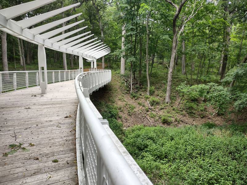 A winding bridge crosses a ravine along Eagle Trail at Nell's Woodland in Ottawa.