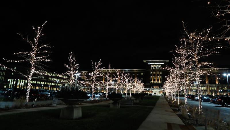 The Elmhurst Memorial Hospital Foundation’s Love Lights program begins each year with the lighting of the Central Garden at Elmhurst Hospital, 155 E. Brush Hill Road.