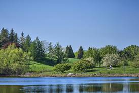 Northern Illinois in Bloom: Best botanical gardens & arboretums 