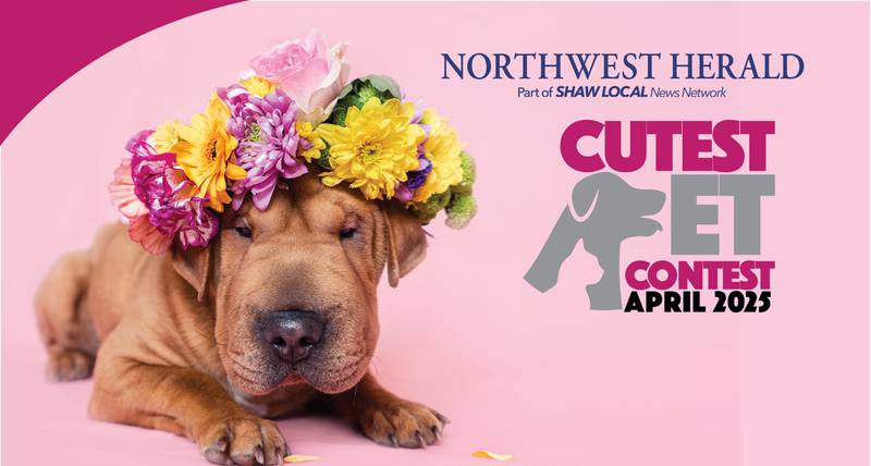 NWH April pet