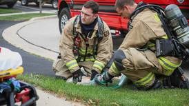Cat treated for smoke inhalation following fire Saturday in Huntley