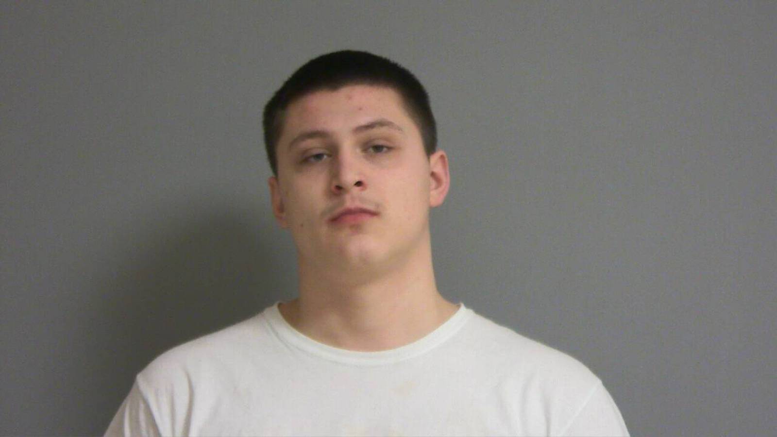 Ottawa man pleads guilty in shotsfired home invasion Shaw Local