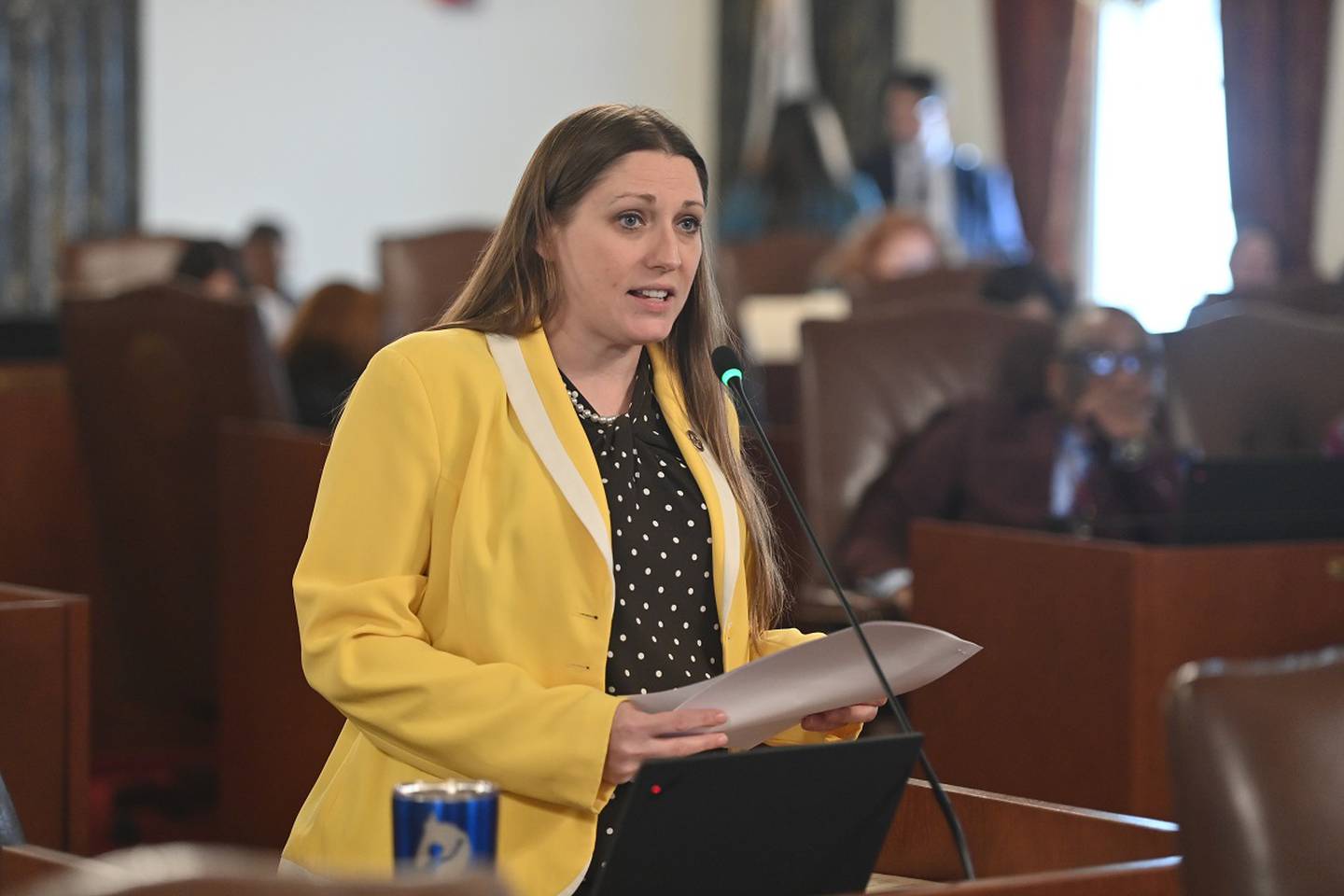 State Sen. Rachel Ventura, D-Joliet, speaking on the floor of the Illinois Senate.