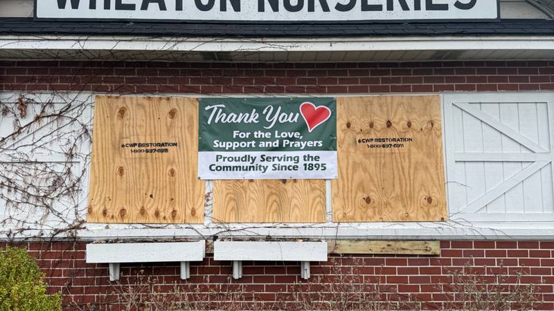 ‘I was devastated’: Wheaton Nurseries receives outpouring of support after shop fire