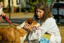 Photos: Geneva pet blessing brings out the animal lovers
