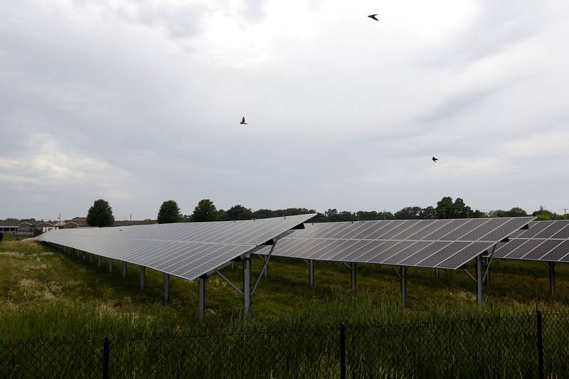 The solar farm at Huntley High School on Friday, June 30, 2023. Multiple solar farms across McHenry County are being presented to the McHenry County Board creating concerns of watershed, farmland and pollinator issues.