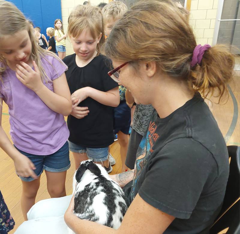 Honey Bunny, the giant checkered rabbit, is petted by children Thursday, July 27, 2023, in a meet-and-greet session following the Incredible Bats program at the Ottawa YMCA.