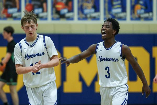 Photos: Newark vs. Leland boys basketball in the Little Ten Conference Tournament 
