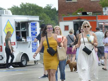 5 Things to Do: Infinity Food & Art Festival in Ottawa, La Salle County 4-H Show
