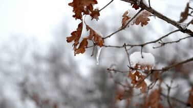 Will ‘fall’ leaf pickup still happen in St. Charles? Early snow, weather delays leave residents out in cold