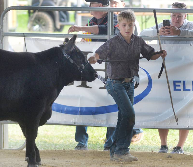 Jaxson Alderks, 12, leads his steer in the show ring at the Ogle County 4-H Fair on Thursday, July 31, 2025. Jaxson is a member of the Ogle Jolly 4-H Club.