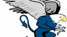 Lincoln-Way East girls water polo sees season end in supersectionals