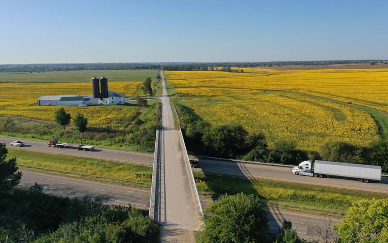 An aerial view of a sunflower field on Wednesday, Sept. 10, 2025 near the intersection of 3000 East Street and Interstate 80 about a mile north of Seatonville in Bureau County.