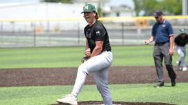 Dom Panozzo throws 2-hit, 17-strikeout shutout of Herscher to give Bishop McNamara regional crown