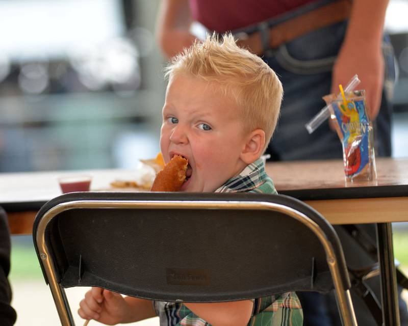 Brantley Myrvold, 2, of Oregon, eats a corn dog at the Ogle County Fair on Thursday, July 31, 2025.