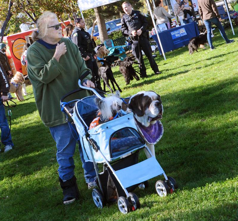 Photos Inaugural Barktoberfest held in Ottawa Shaw Local