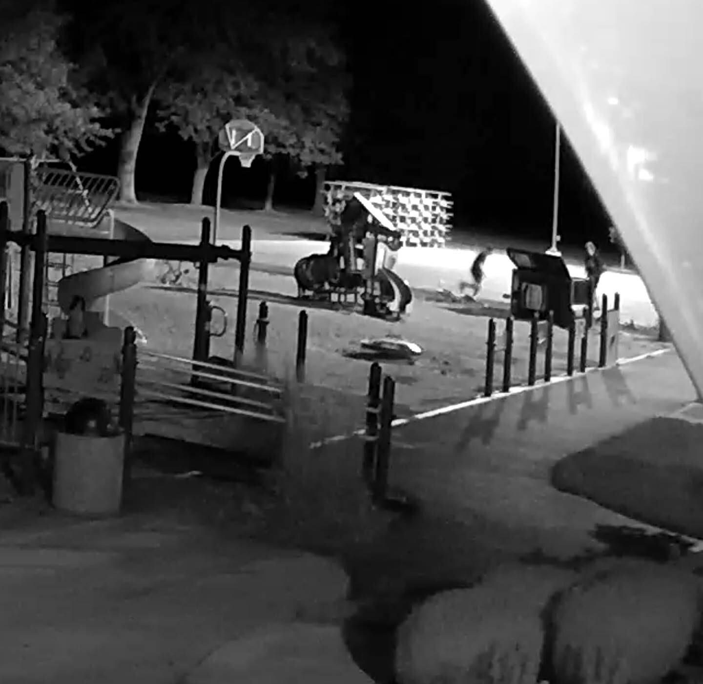 The Elburn Lions Club is looking for four boys who allegedly vandalized Elburn Lions Park on Sept. 3, 2022.