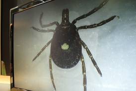 ‘Tiny biters can make you seriously sick’: Prevention key during tick season