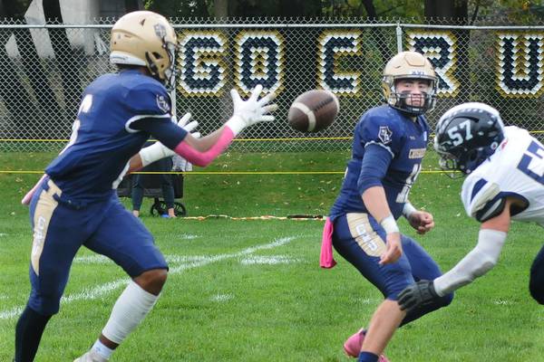 The Times IHSA football preview for Week 9 of the 2025 season