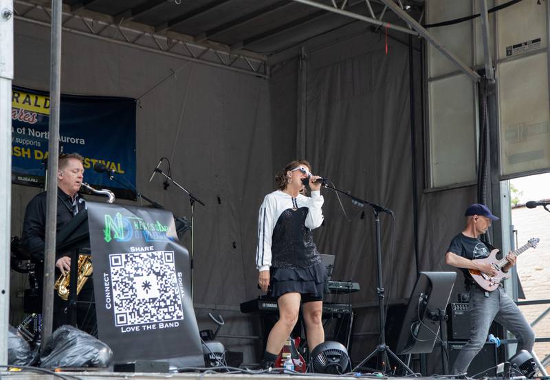 The band Necessary Diversion performs at Swedish Days on Saturday, June 25, 2022.