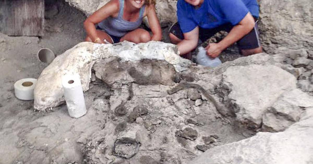 New Lenox paleontologist creating 3D maps of historic Jurassic site