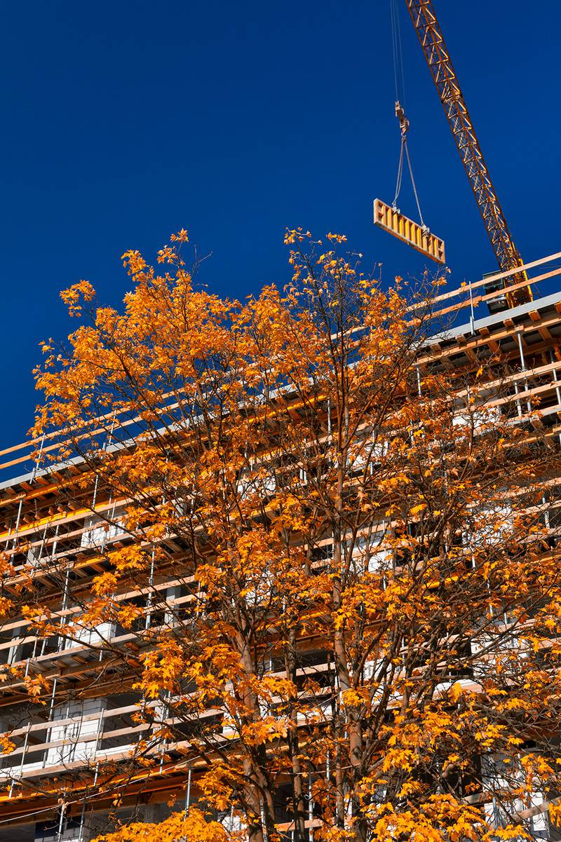 Floods Royal Flush - Finish Construction Projects Before Winter Sets In — How Floods Royal Flush Can Help