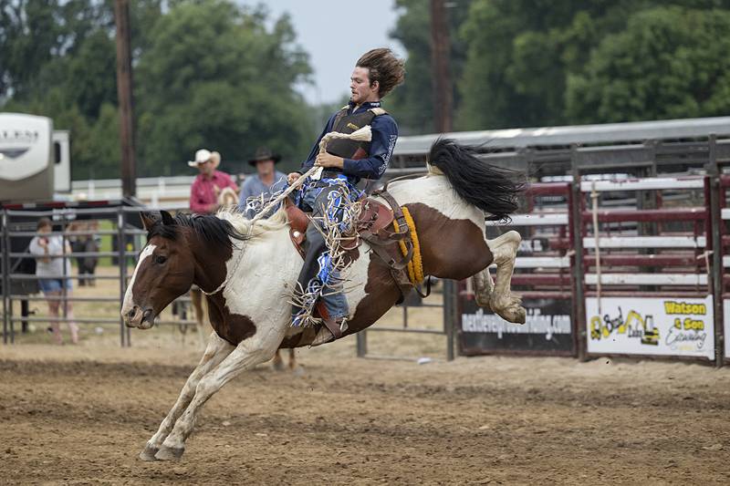 Rodeo rider Kolby Forum hangs tight onto “Turn the Page” Wednesday, August 14, 2024, at the Whiteside County Fair in Morrison.