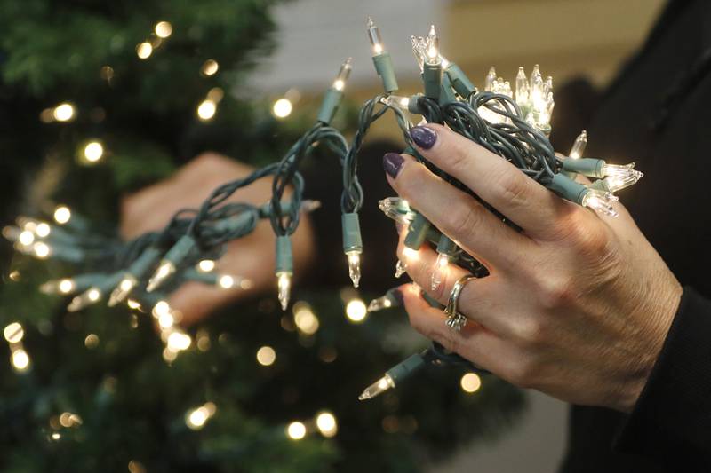 Michelle Meintz install lights on the Clean Bee Flooring and Upholstery Care Services Christmas trees on Thursday, Nov. 16, 2023, as she prepares the tree for the McHenry Chamber of Commerce Festival of Trees at the McHenry Recreation Center. The tree festival runs through Dec. 30, You can vote for your favorite Christmas tree by leaving canned food or toiletries under the tree you like best during normal business hours. All donations go to Veteran’s Path to Hope.