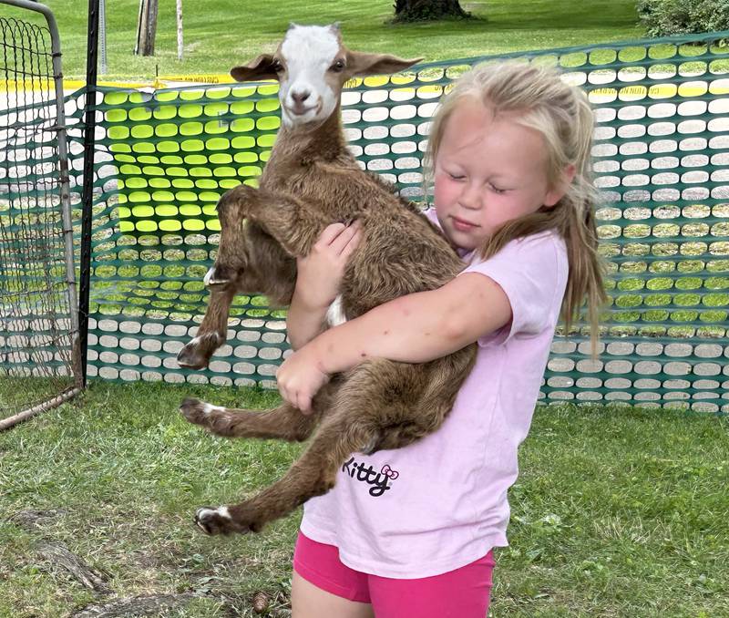 Aubree Colasuono, 6, of Rockford, picks up a little goat at Kriss' Funny Farm & Wedding Barn's petting zoo during German Valley Days on Saturday, July 20, 2024.