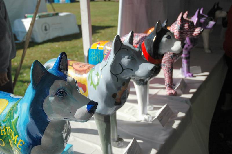 Shaw Local file photo – The Huskies statue was a product of a public art program dubbed, Huskies on Parade, that was created shortly after the Feb. 14, 2008 mass shooting at NIU when a gunman opened fire inside a lecture hall in Cole Hall on campus. Five students were killed and dozens more injured. Community members came together to show unity and solidarity with the statues. A statue at 125 N. First St., has been reported missing since November 2022.