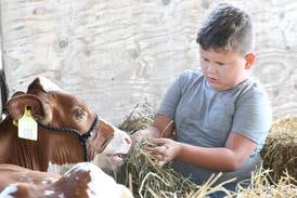 Photos: Kids show projects, animals at the Marshall-Putnam 4-H Fair