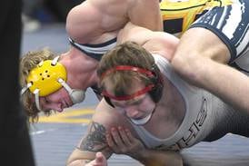 Here are the Record Newspapers-area qualifiers for the IHSA individual state wrestling meet