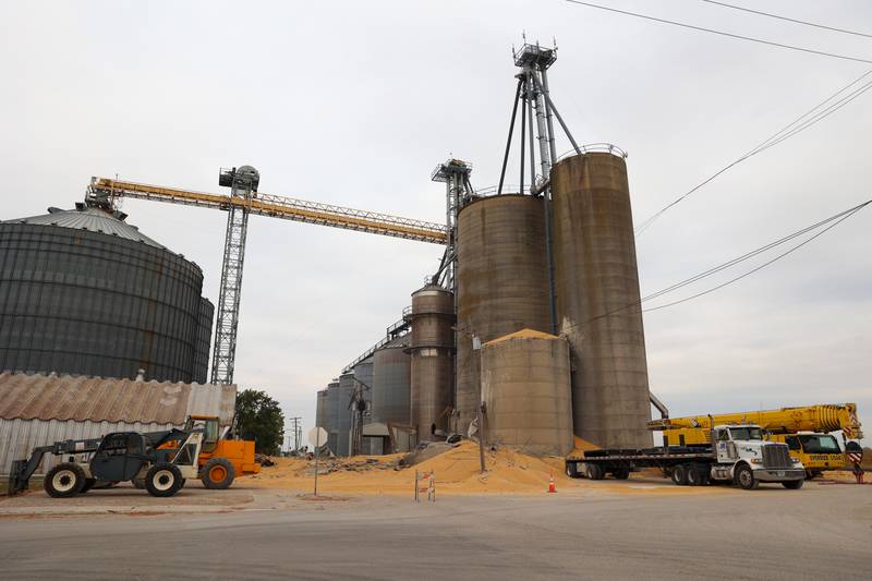 Harvested beans cover the ground after a concrete grain bin collapsed on Wednesday, Oct. 15, 2025, at the Donovan Farmers Co-Op Elevator in downtown Martinton.