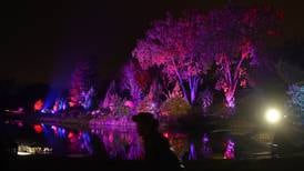 Welcome 2026 with ‘Lights! Camera! Action!’ light show at Cantigny 