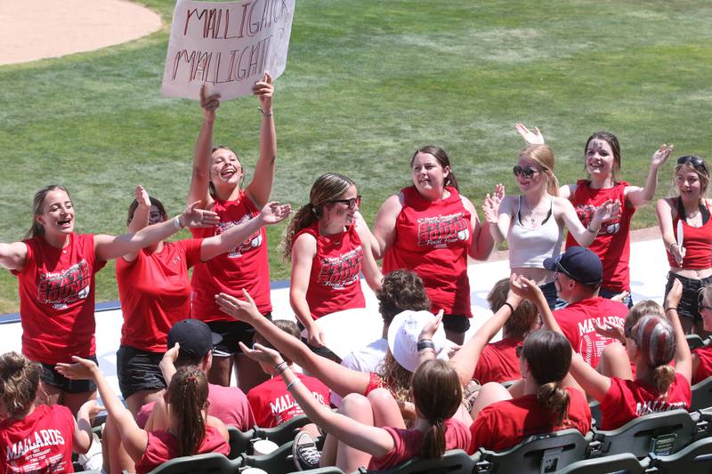 Henry-Senachwine fans hold signs and cheer on their team as they play Newman during the Class 1A State semifinal game on Friday, June 2, 2023 at Dozer Park in Peoria.