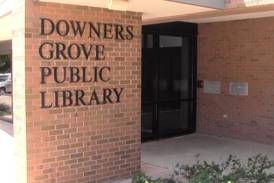 Downers Grove library art collection on display at upcoming fundraiser